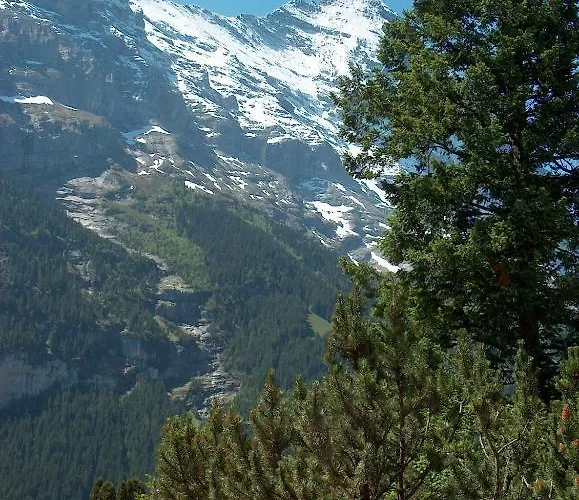 Hohturnen 公寓